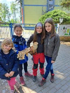 kinderwochenendes zeulenrodaer wald 2023 bild 12