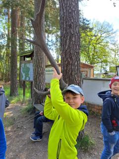 kinderwochenendes zeulenrodaer wald 2023 bild 13