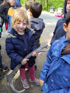 kinderwochenendes zeulenrodaer wald 2023 bild 3