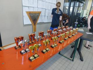 13 vogtland schwimmcup 2022 bild 6