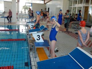 osterschwimmen greiz 2025 bild 49