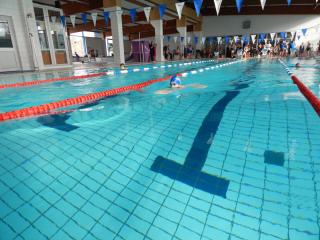 osterschwimmen greiz 2023 bild 28
