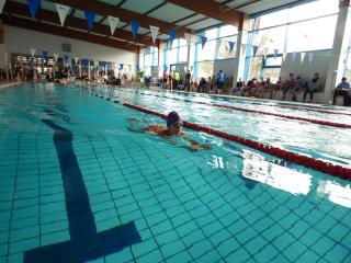 osterschwimmen greiz 2023 bild 30