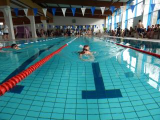 osterschwimmen greiz 2023 bild 31